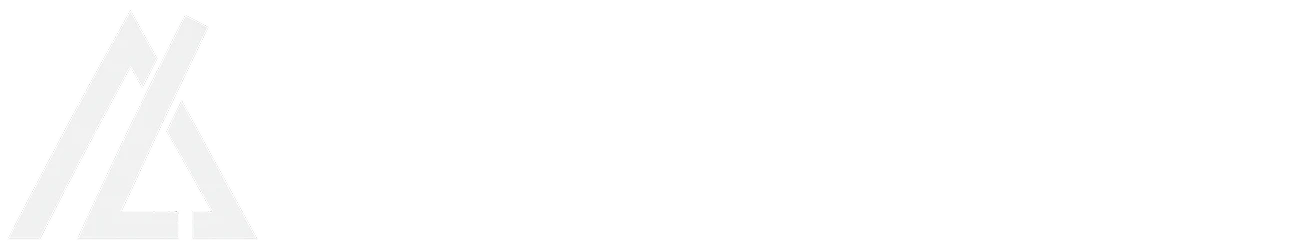 Arileo Infotech
